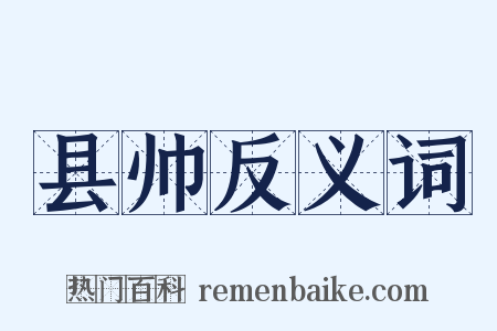 县帅反义词是什么意思的图片